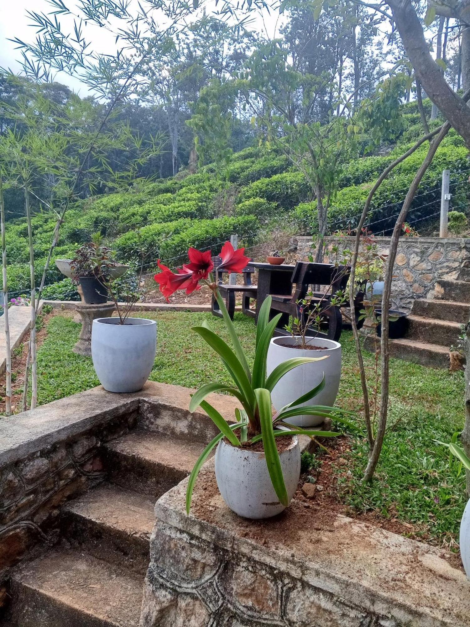 H3 Hilltop Heaven Ella Exterior photo
